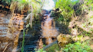  sitio em rio dos cedros