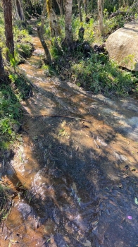  sitio em rio dos cedros
