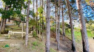  terreno em palmeiras