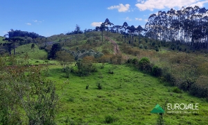  sitio em rio dos cedros