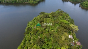  represa palmeiras