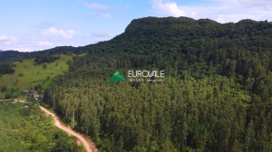  sitio em palmeiras