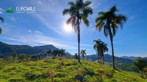  sitio em rio dos cedros
