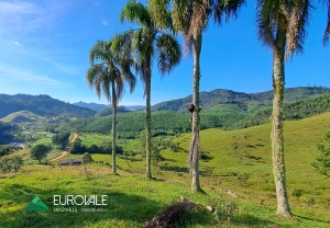  sitio em rio dos cedros