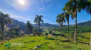  sitio em rio dos cedros
