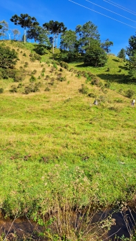  sitio em rio dos cedros