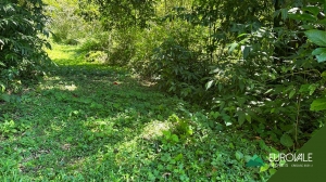  Área verde