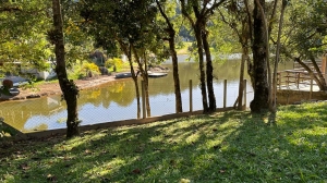  casa em palmeiras