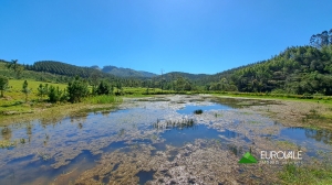  lagoa
