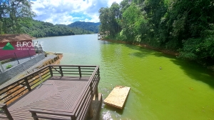  casa em palmeiras rio dos cedros