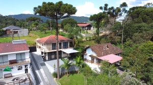  casa em palmeiras