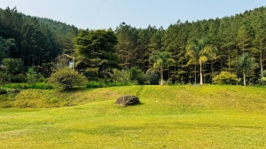  sitio em rio dos cedros