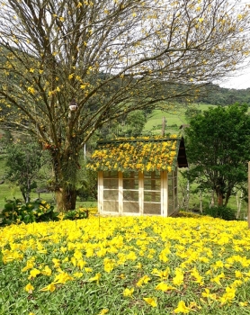  sitio em rio dos cedros