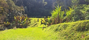  sitio em rio dos cedros