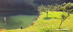  sitio em rio dos cedros