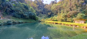  sitio em rio dos cedros