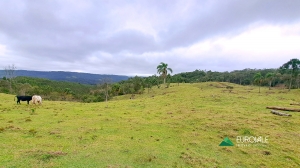  sitio em rio dos cedros