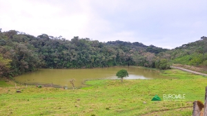  sitio em rio dos cedros