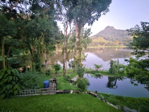  casa na represa palmeiras