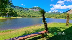  terreno em palmeiras