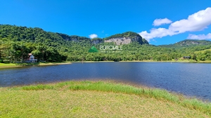  terreno em palmeiras