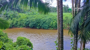  Terreno em rio dos cedros