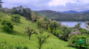  terreno na represa palmeiras