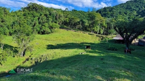  terreno na represa palmeiras
