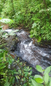  água abundante