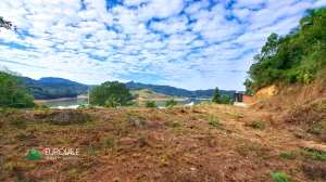  terreno em palmeiras