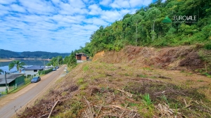  terreno em palmeiras
