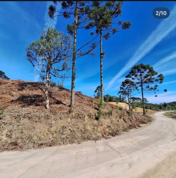  sitio em alto cedros