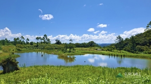  lagoa
