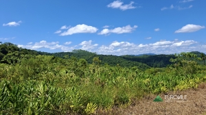  fazenda em timbó