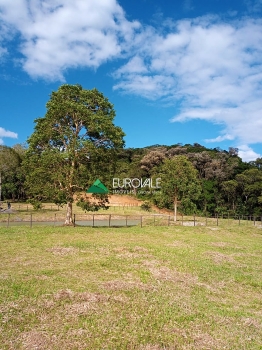  sitio em rio dos cedros