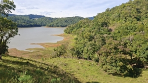  terreno em palmeiras rio dos cedros