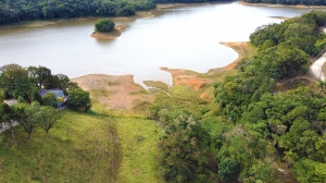  terreno em palmeiras rio dos cedros