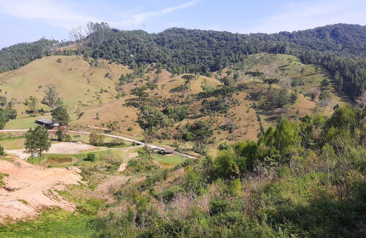 TERRENO RURAL EM PALMEIRAS