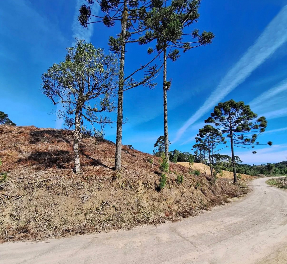 TERRENO PARA SÍTIO NO PINHAL