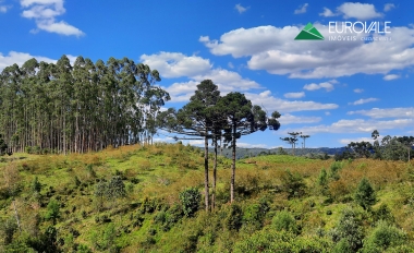 Terreno para sítio no Pinhal
