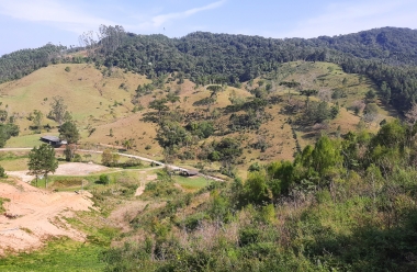 Terreno Rural em Palmeiras