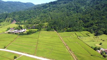 Belo terreno no Tiroleses