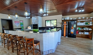  beija flor