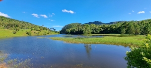  represa