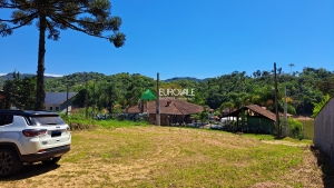  Terreno em Palmeiras