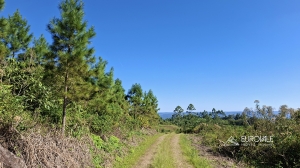  fazenda
