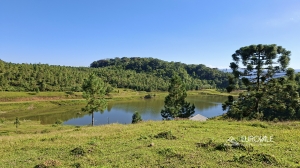  fazenda