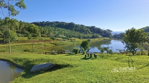  fazenda
