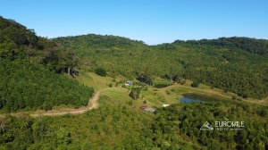  área para plantio