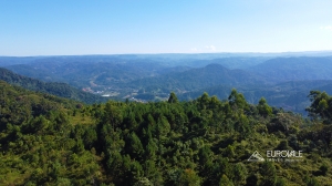  vista aérea